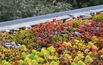 the cost of Fenn Street green roof installation