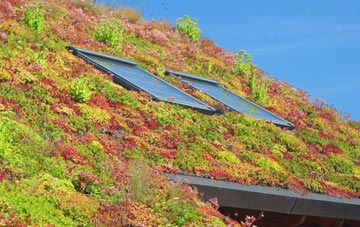Fenn Street living roof systems